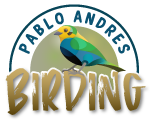 Pablo Andrés Birding Logo